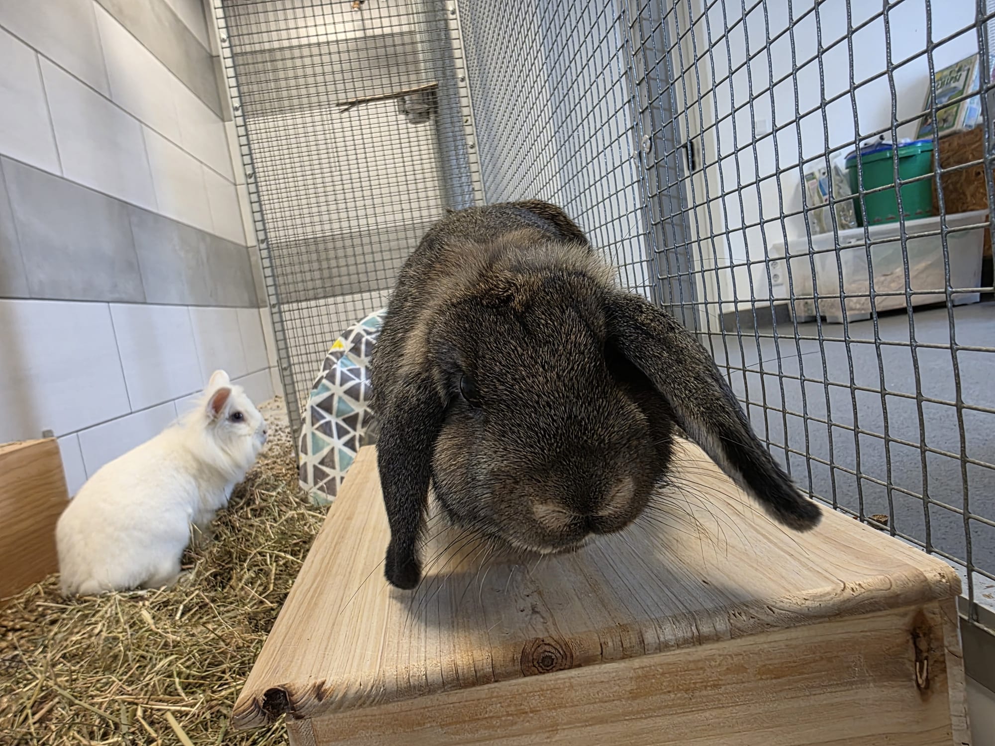 WhatsApp Image 2026-04-05 at 14.49.56 (1).jpeg